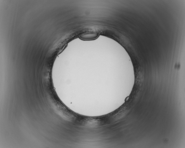 X0000111920456200908241055