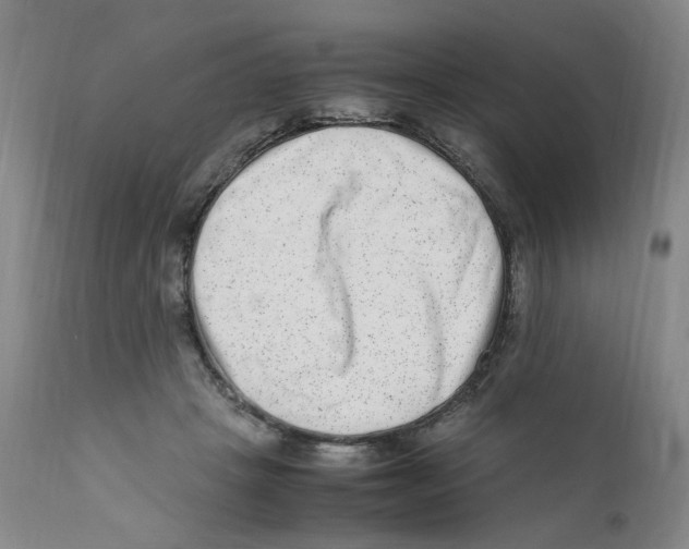 X0000111920457200908241055