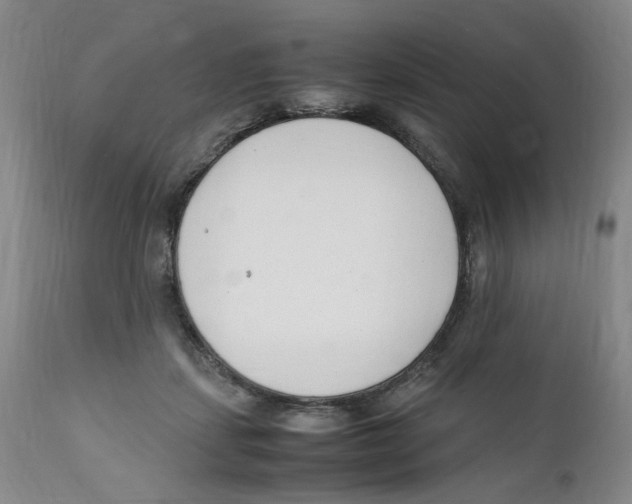 X0000111920459200908241055