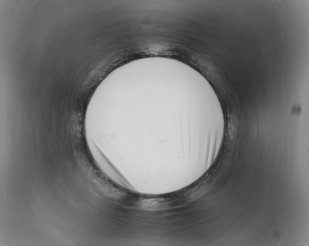 X0000111920461200908241055