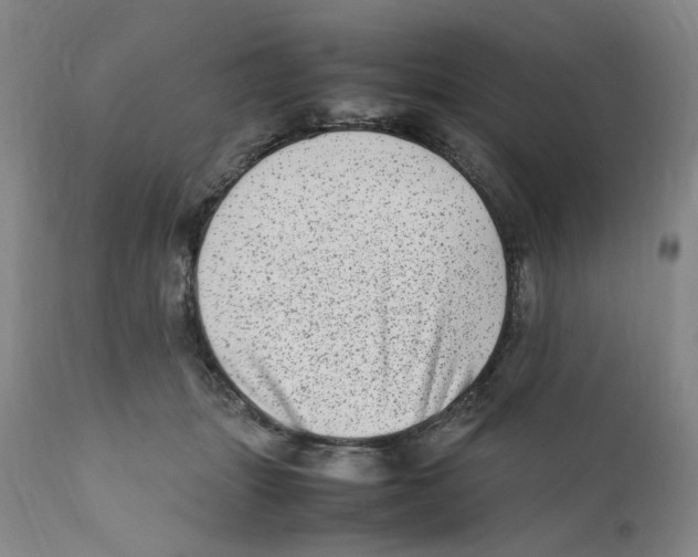 X0000111920463200908241055