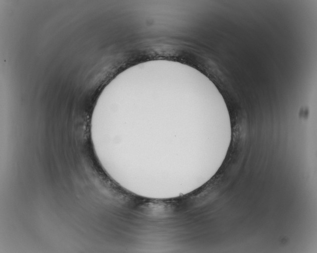 X0000111920464200908241055