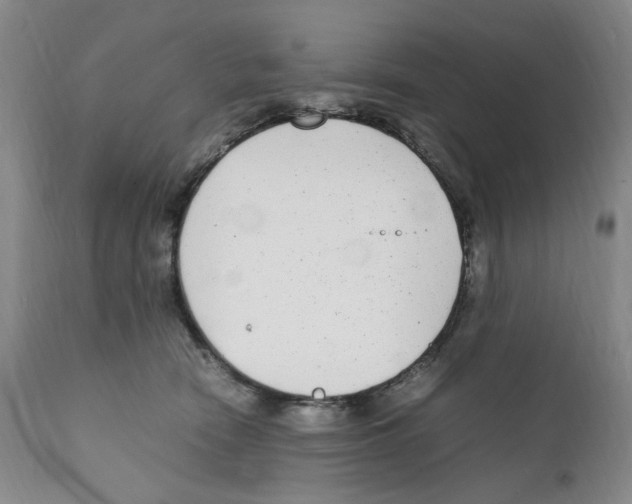 X0000111920466200908241055