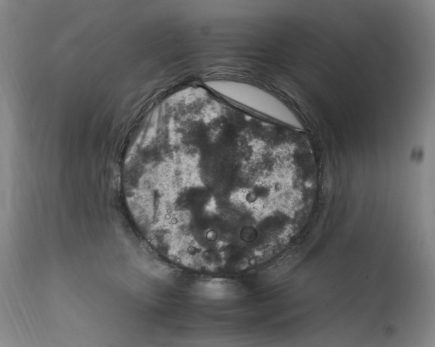 X0000111920467200908241055