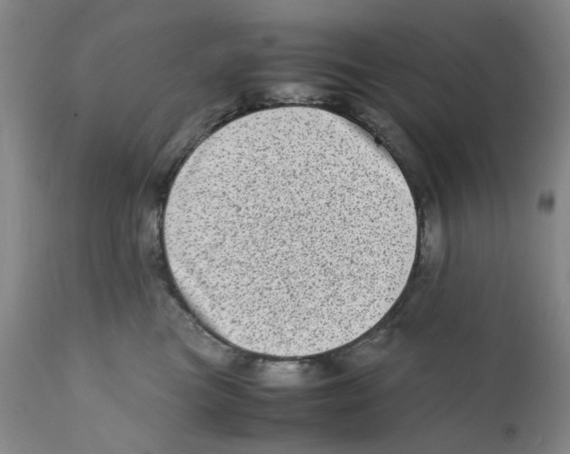 X0000111920473200908241055