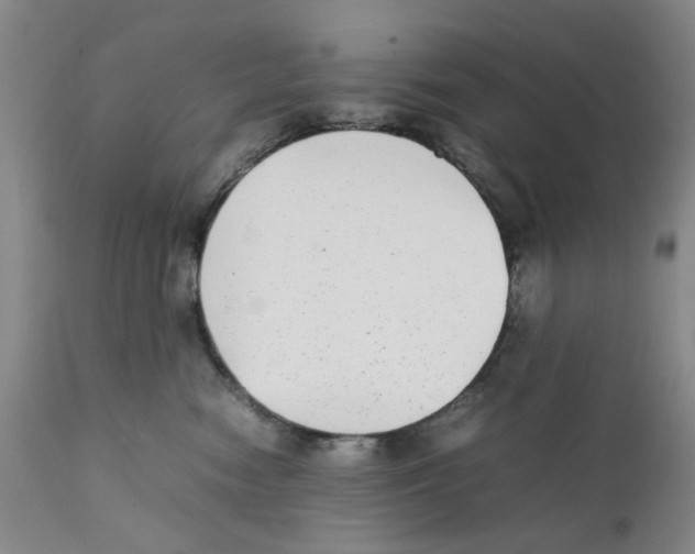 X0000111920474200908241055