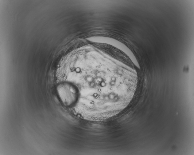 X0000111920475200908241055