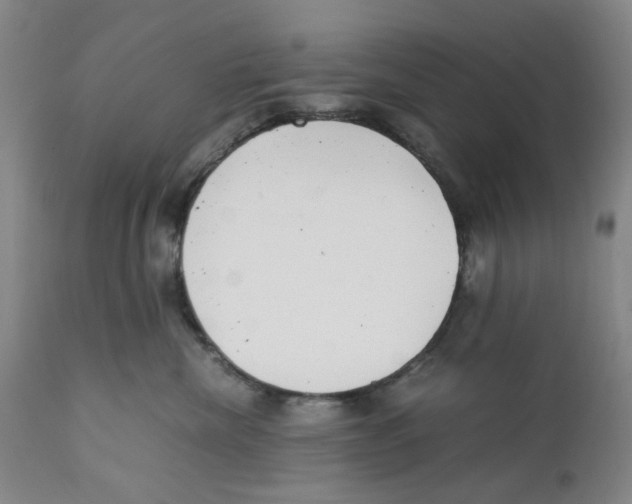 X0000111920476200908241055