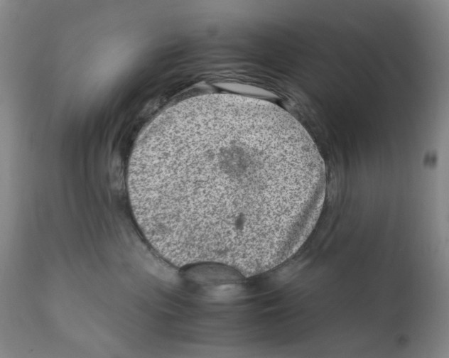 X0000111920477200908241055