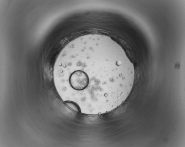 X0000111920479200908241055