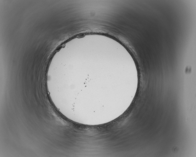 X0000111920481200908241055