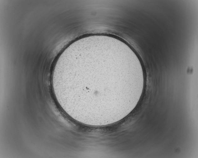 X0000111920485200908241055