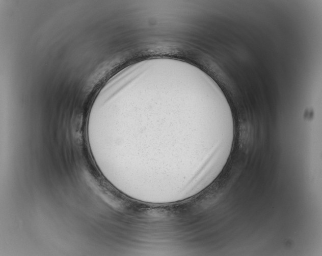 X0000111920490200908241055