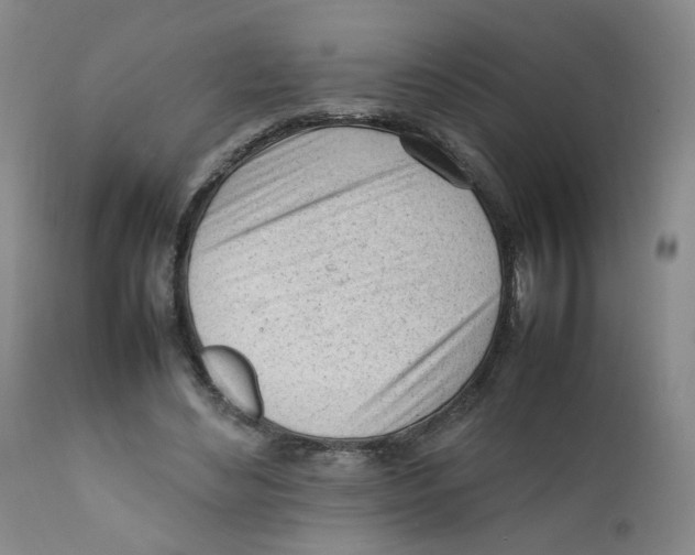 X0000111920492200908241055