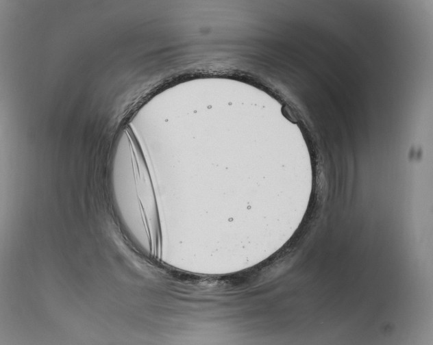 X0000111920493200908241055