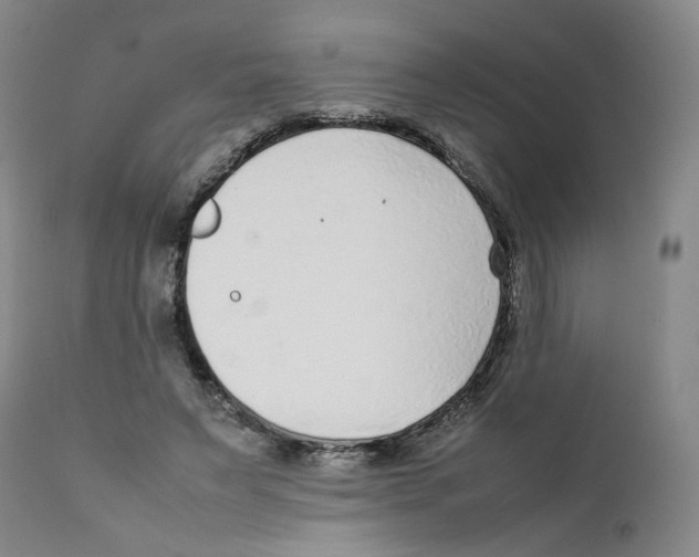 X0000111920495200908241055