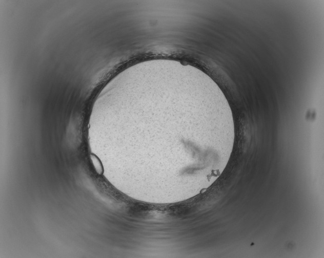 X0000111920496200908241055