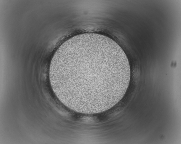 X0000111920499200908241054