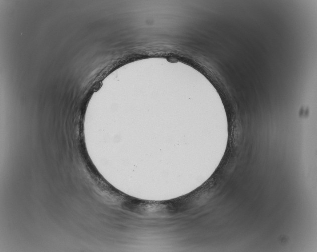 X0000111920501200908241054