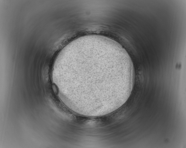 X0000111920504200908241054