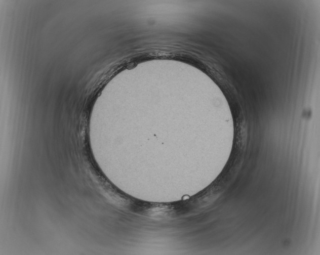 X0000111920505200908241054