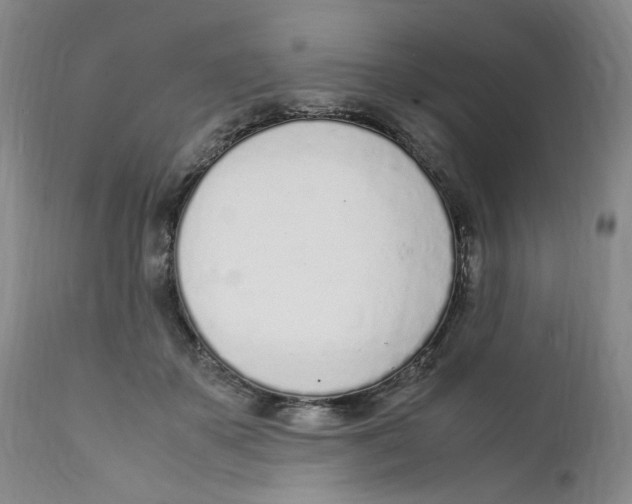 X0000111920507200908241054