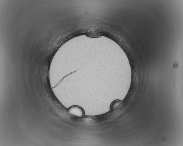 X0000111920509200908241054