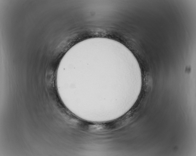 X0000111920511200908241054