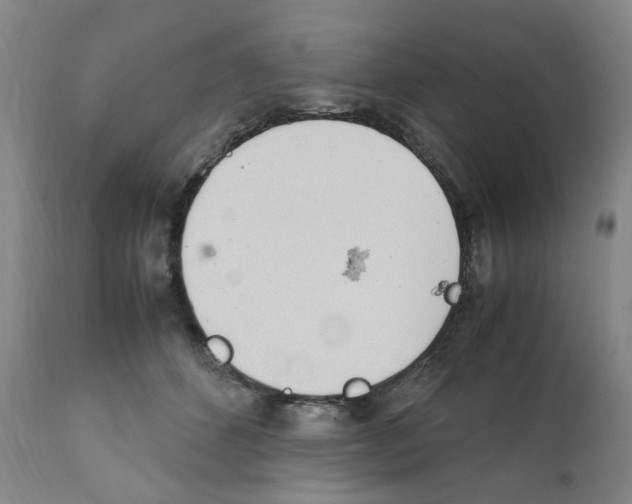 X0000111920512200908241054