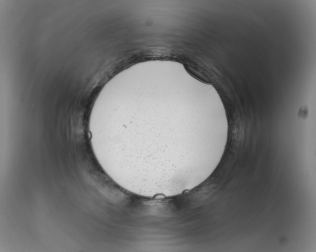 X0000111920516200908241054