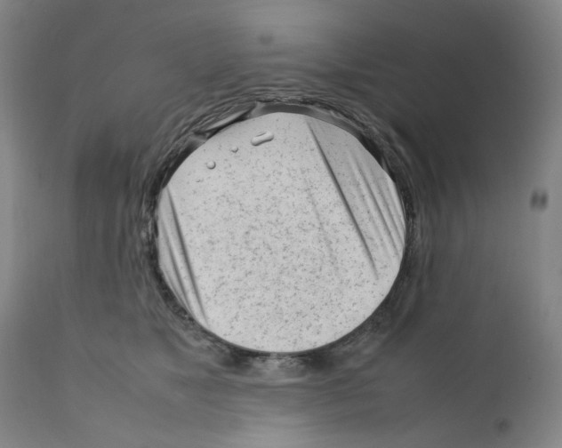 X0000111920517200908241054