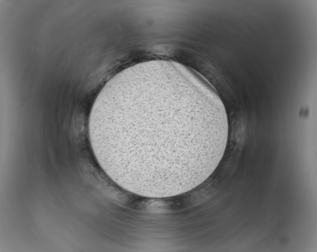 X0000111920518200908241054