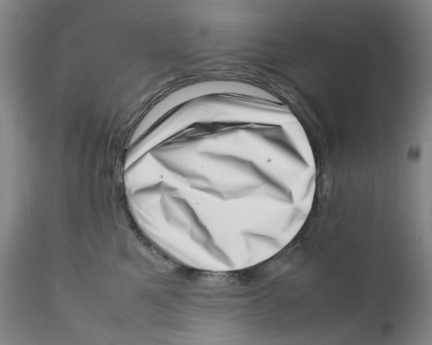 X0000111920521200908241054