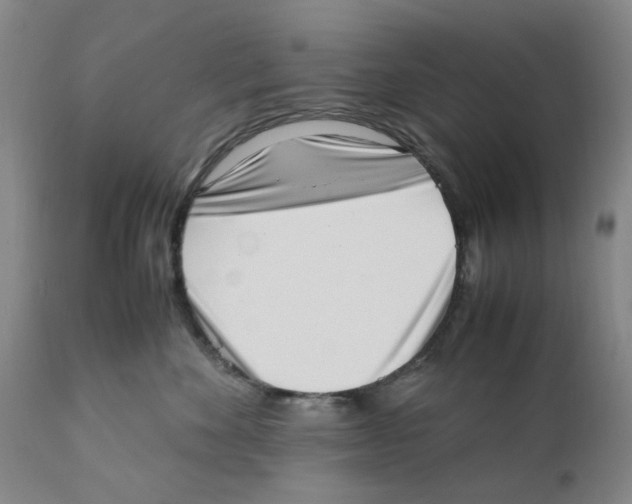 X0000111920524200908241054