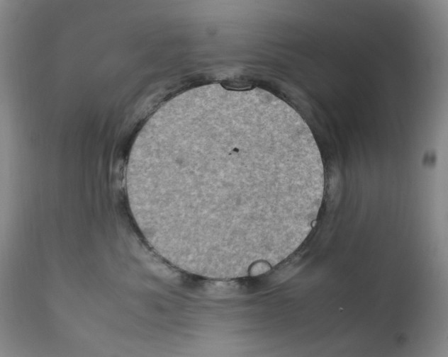 X0000111920525200908241054