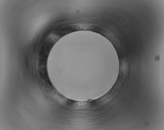 X0000111920526200908241054