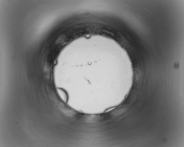 X0000111920527200908241054