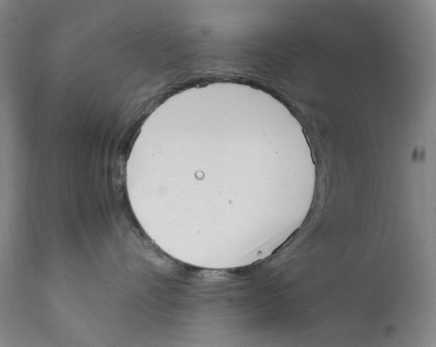 X0000111920528200908241054