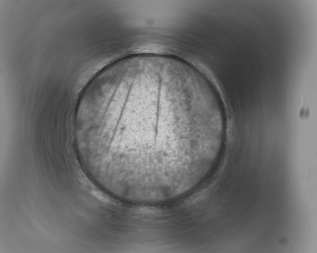 X0000111920529200908241053