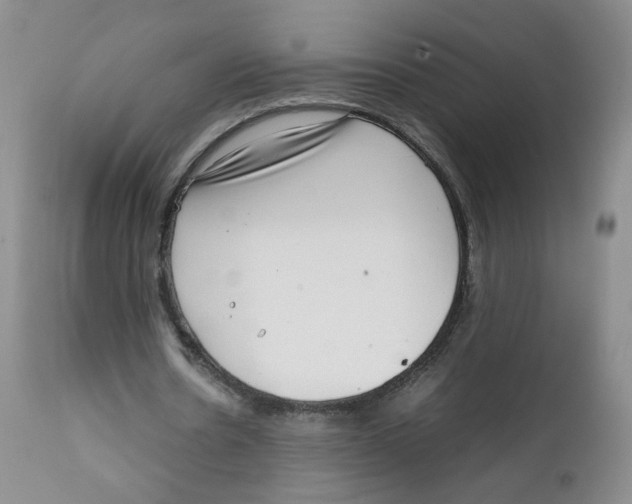 X0000111920530200908241053