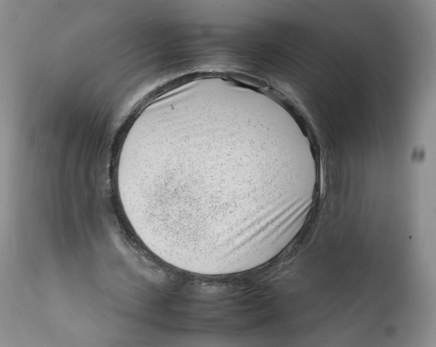 X0000111920531200908241053