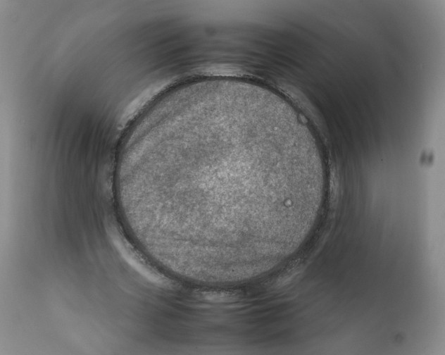 X0000111920533200908241053