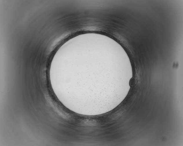 X0000111920535200908241054