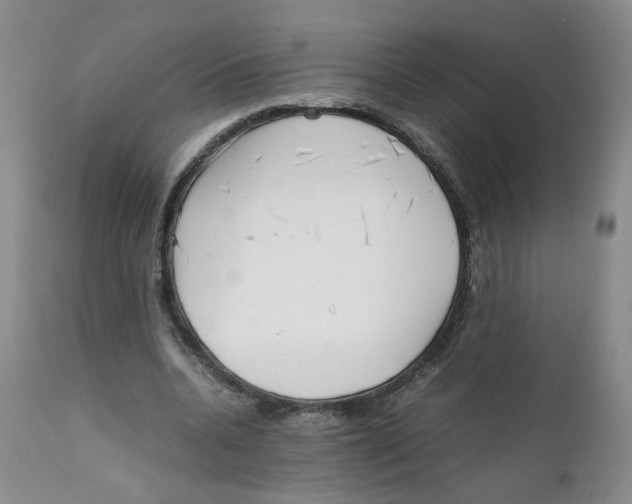 X0000111920536200908241054