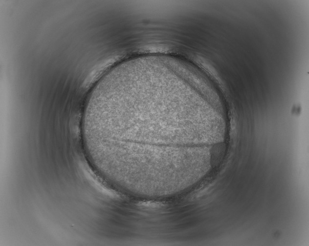 X0000111920537200908241054