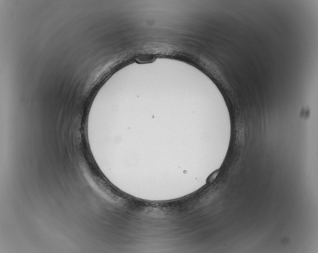 X0000111920538200908241054