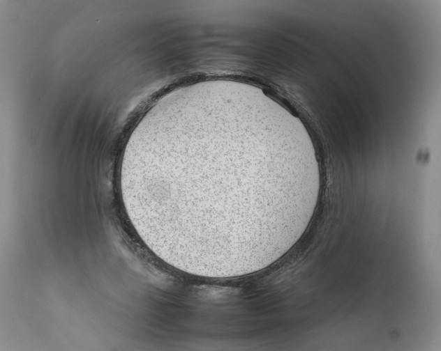 X0000111920539200908241054