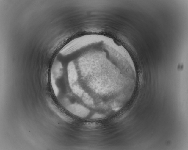 X0000111920541200908241054