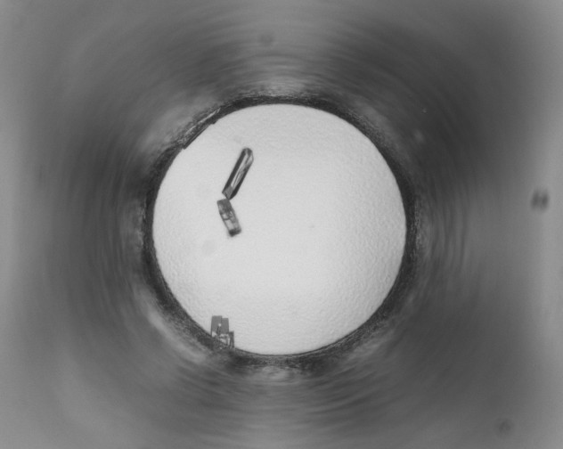 X0000111920542200908241054