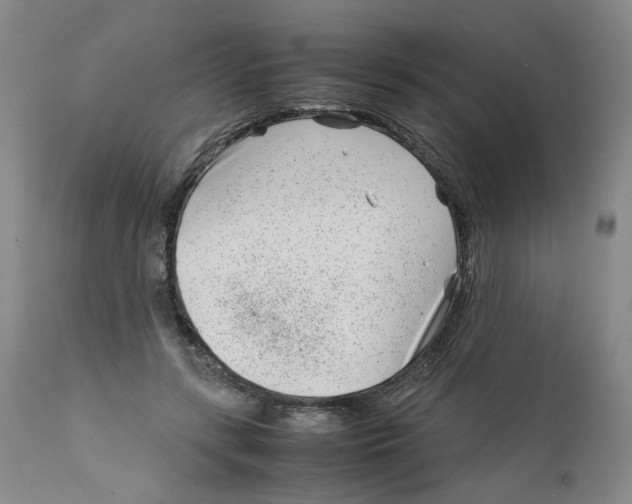 X0000111920547200908241054